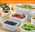 ⏰Last day Promotion 🔥-🥬 4-in-1 Draining Food Storage Container Keeps Fruits & Veggies Fresh & Organized ✨