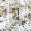 🔥 LAST DAY 50% OFF! 🕷️ Halloween Spider Webs Stretchy Cobweb Party Decor 🎃