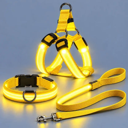 🐕 Rechargeable LED Dog Walking Kit ✨ Light-Up Harness, Collar & Leash for Safer Night Walks