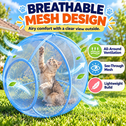🐱  Holiday Celebration 50% OFF ✨-Let Your Cat Explore Outdoors Safely and Happily! 🐾