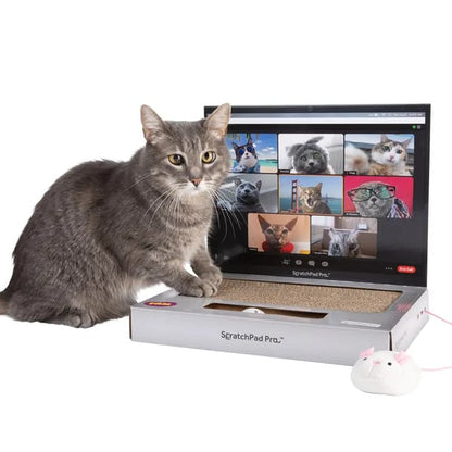 🐱🔥 HOT SALE 🔥 Laptop Cat Scratcher Funny Cardboard Scratch Pad That Keeps Cats Happy & Furniture Safe