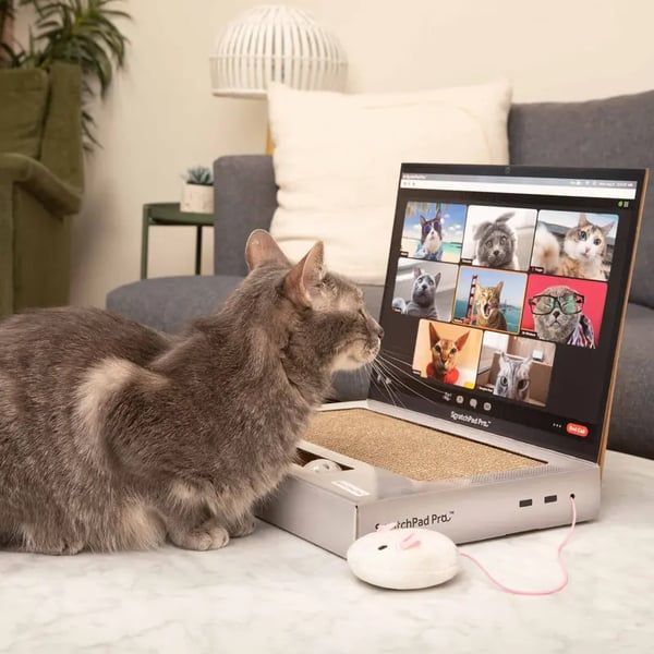 🐱🔥 HOT SALE 🔥 Laptop Cat Scratcher Funny Cardboard Scratch Pad That Keeps Cats Happy & Furniture Safe