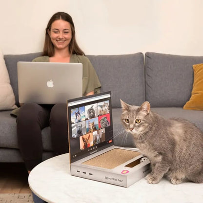🐱🔥 HOT SALE 🔥 Laptop Cat Scratcher Funny Cardboard Scratch Pad That Keeps Cats Happy & Furniture Safe