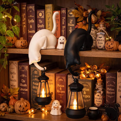 🔥Last day Promotion -✨ Cute Cat Hook Shelf Decor 🏠💡