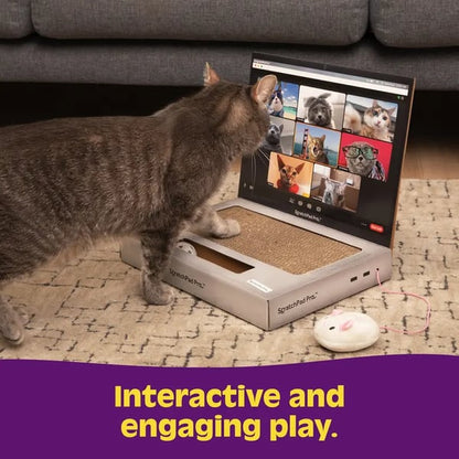 🐱🔥 HOT SALE 🔥 Laptop Cat Scratcher Funny Cardboard Scratch Pad That Keeps Cats Happy & Furniture Safe