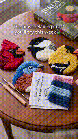 ⏰Last day Promotion 🔥-🐦 DIY Bird Coaster Punch Needle Kit for Fun & Relaxing Crafting ✨