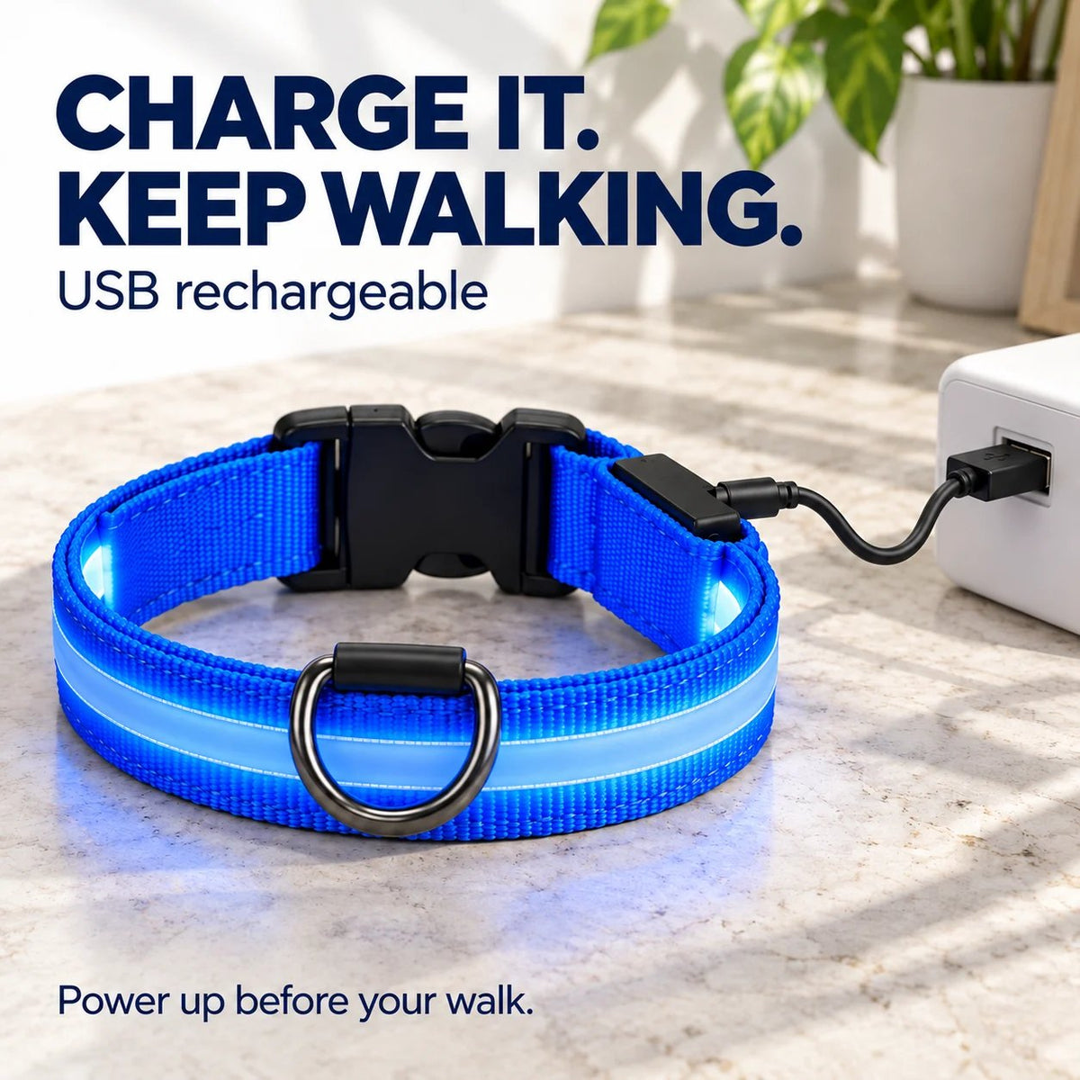USB rechargeable connection for the LED dog walking accessories