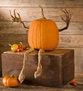 🔥 Last Day 50% OFF✨-🎃 Bendable Pumpkin Arms & Legs for Fun DIY Halloween Decor & Creative Carving 👻