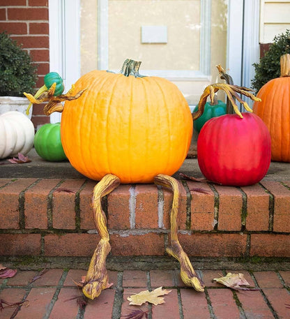 🔥 Last Day 50% OFF✨-🎃 Bendable Pumpkin Arms & Legs for Fun DIY Halloween Decor & Creative Carving 👻