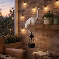White Cat Hook with Lantern
