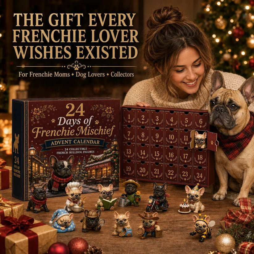 🎁 Last Day 50% OFF✨-🐶24-Day French Bulldog Advent Calendar with 24 Unique Characters & Daily Holiday Surprises 🎄