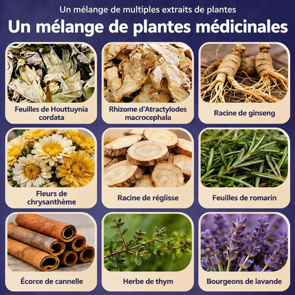 Patch Chauffant Multi-Usage aux Extraits de Plantes
