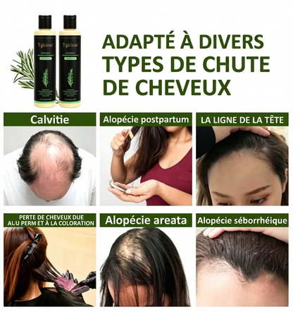Shampoing au Romarin – L’Essence de la Nature pour vos Cheveux