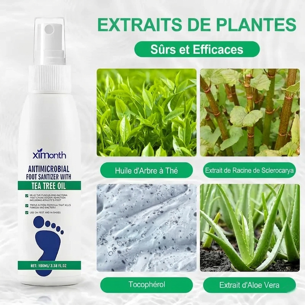 Spray Assainissant Anti-Odeurs & Anti-Fongique aux Huiles Essentielles d'Arbre à Thé (100ml)