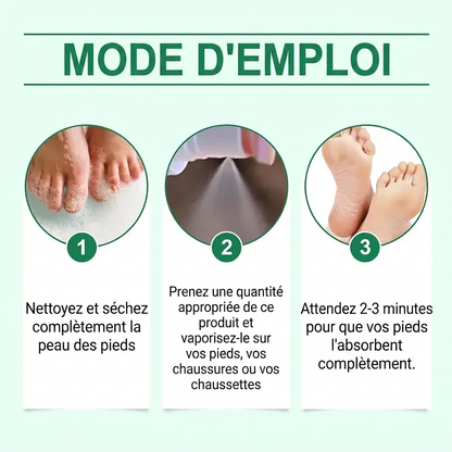 Spray Assainissant Anti-Odeurs & Anti-Fongique aux Huiles Essentielles d'Arbre à Thé (100ml)