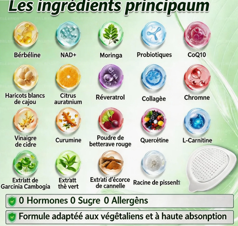 Patch amincissant à nano-aiguilles