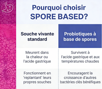 MegaSporeBiotic capsules de thréonate de magnésium