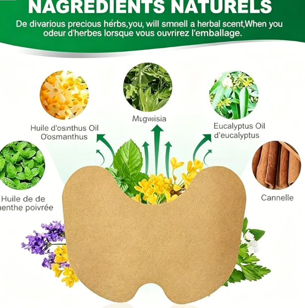 10 patchs aux herbes pour les genoux