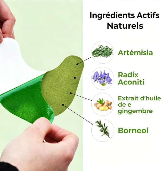10 patchs aux herbes pour les genoux