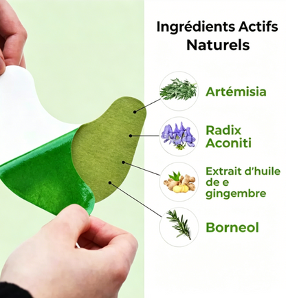 10 patchs aux herbes pour les genoux