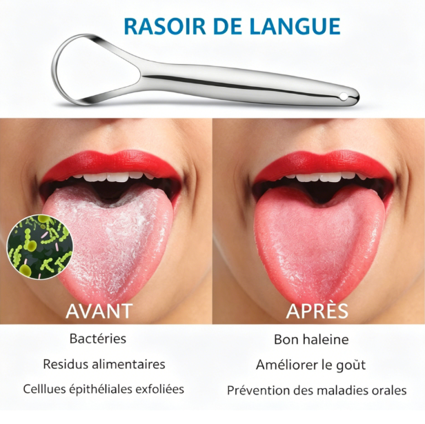 Gratte-langue en acier inoxydable