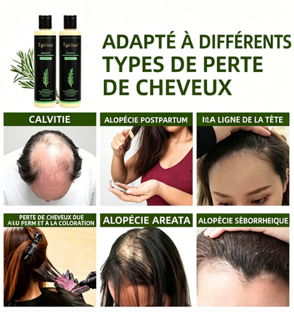 Shampoing au Romarin – L’Essence de la Nature pour vos Cheveux