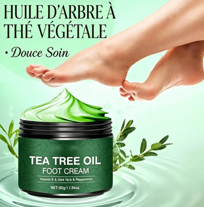 Crème apaisante pour les pieds à l'Aloe Vera et à l'huile d'arbre à thé