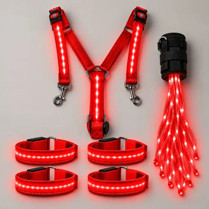 🔥HOT SALE 49% OFF - 🌟 LED Equestrian Glow Safety Kit | Ride Safely Beyond Sunset 🐎