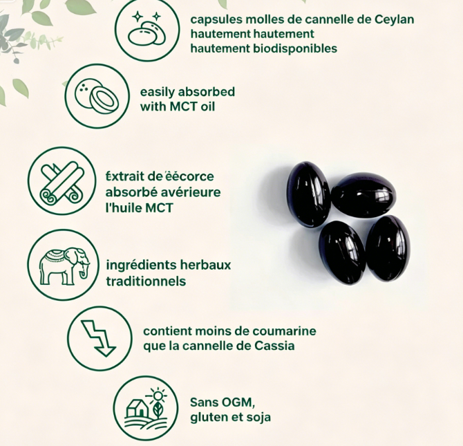 Cannelle de Ceylan 7200 mg  Équivalent à l'huile TCM