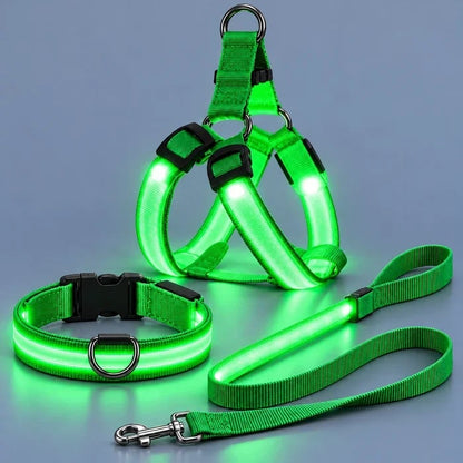 🐕 Rechargeable LED Dog Walking Kit ✨ Light-Up Harness, Collar & Leash for Safer Night Walks