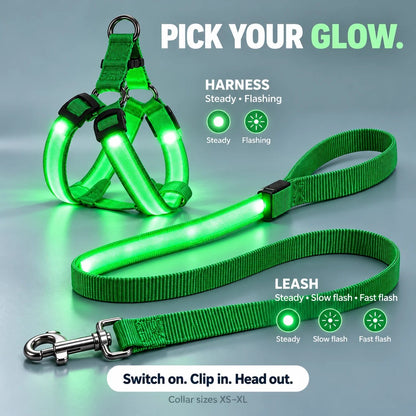 🐕 Rechargeable LED Dog Walking Kit ✨ Light-Up Harness, Collar & Leash for Safer Night Walks