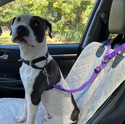 2-in-1 Dog Car Seat Belt &   Walking Leash