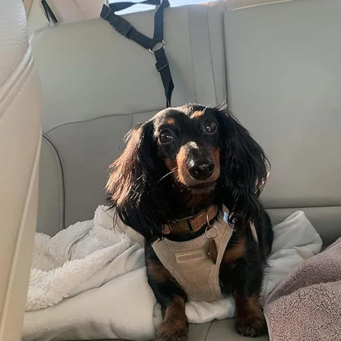 2-in-1 Dog Car Seat Belt &   Walking Leash