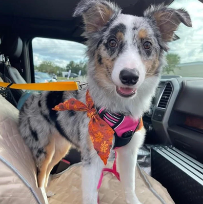 2-in-1 Dog Car Seat Belt &   Walking Leash